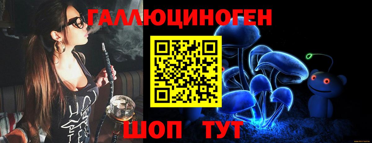 Иваново  Псилоцибиновые грибы Psilocybe  Вход с VPN 